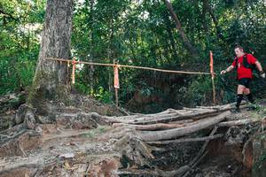 BIB: 
                            <button type="button" onclick="openModal(27304360)" class="btn btn-primary btn-sm float-right btn-popup" data-toggle="modal" data-target=".modal-high-quality">
                        <i class="fas fa-shopping-cart"></i> Add to Cart
                    </button>
                                            <button type="button" onclick="isThisMe(27304360, true)" class="btn btn-success btn-sm float-right btn-popup btn-isme hidden" data-toggle="tooltip" data-placement="bottom" title="นี่คือรูปของคุณใช่ไหม คลิกที่นี่เพื่อเอาเข้าอัลบั้ม">
                        <i class="fas fa-plus"></i> Add to album
                    </button>
                    <button type="button" onclick="isThisMe(27304360, false)" class="btn btn-warning btn-sm float-right btn-popup btn-isnotme hidden">
                        <i class="fas fa-ban"></i> Remove from album
                    </button>